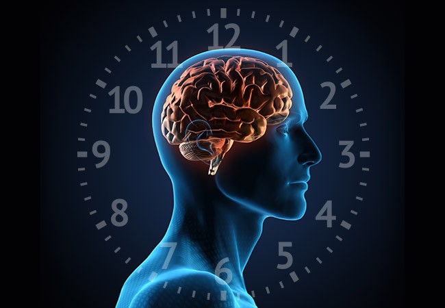 The internal body clock - PASSAGE 2