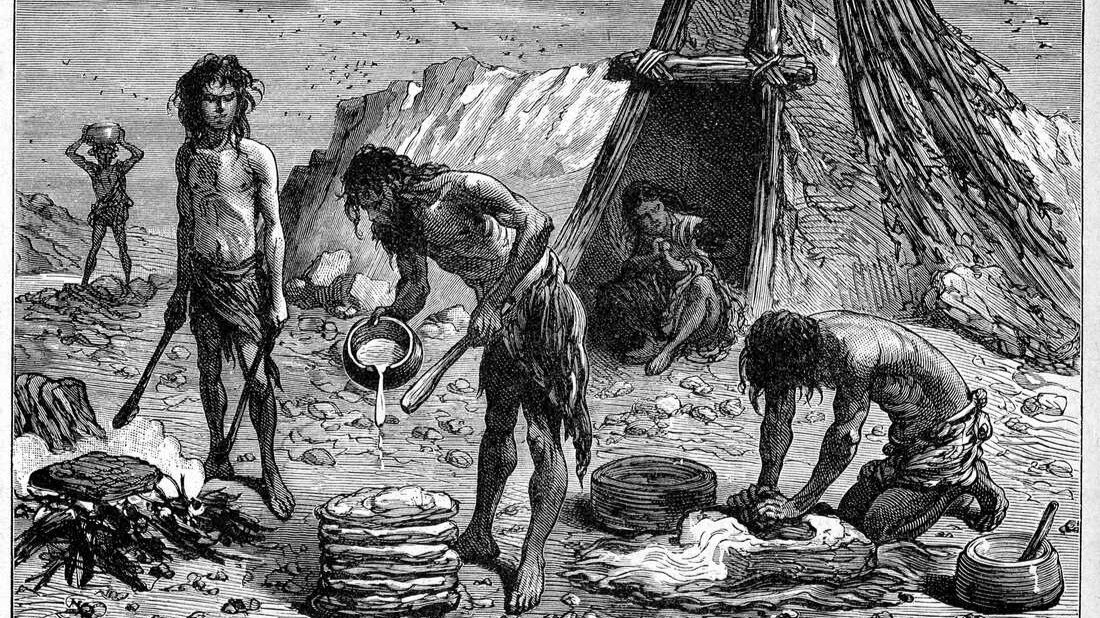 A Brief History of Humans and Food - PASSAGE 1