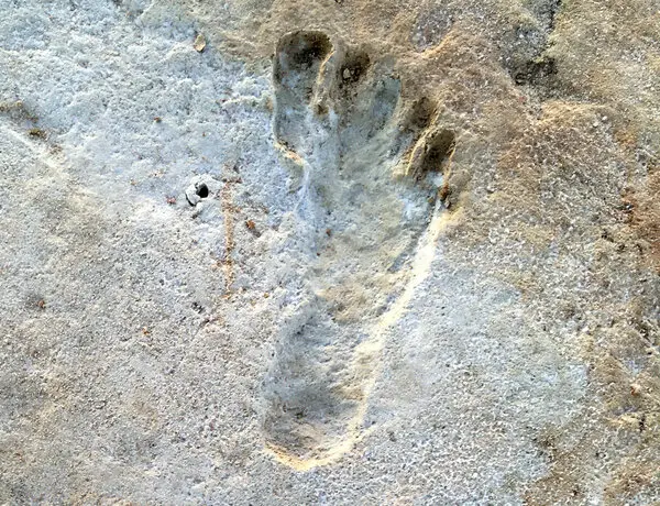 Footprints in the muds of time - PASSAGE 1