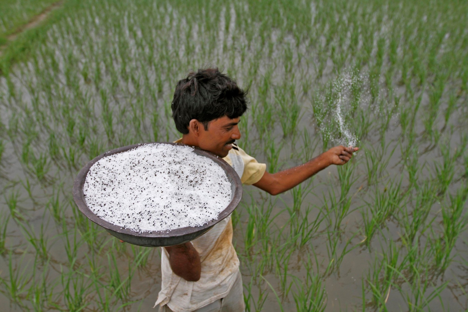 Natural Pesticide in India - PASSAGE 1