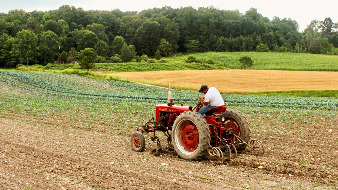 Farmers - PASSAGE 2