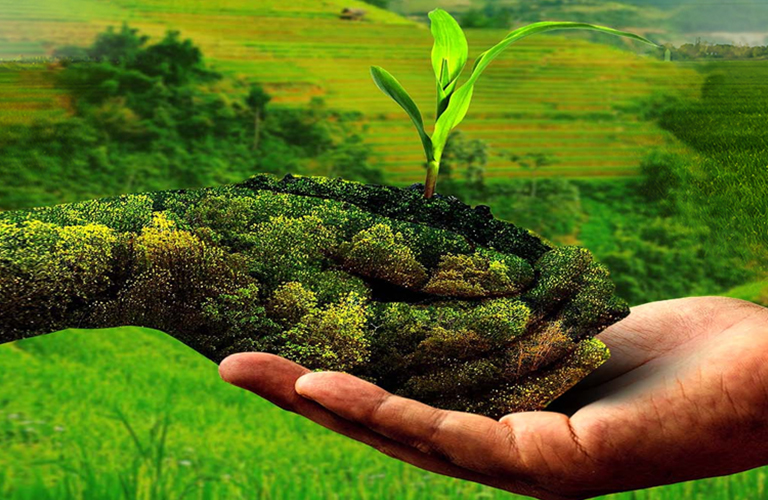 The growth of agriculture - PASSAGE 1