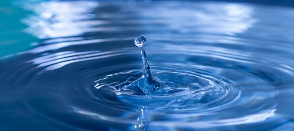 [Dự Đoán Quý 2] Topic fresh water