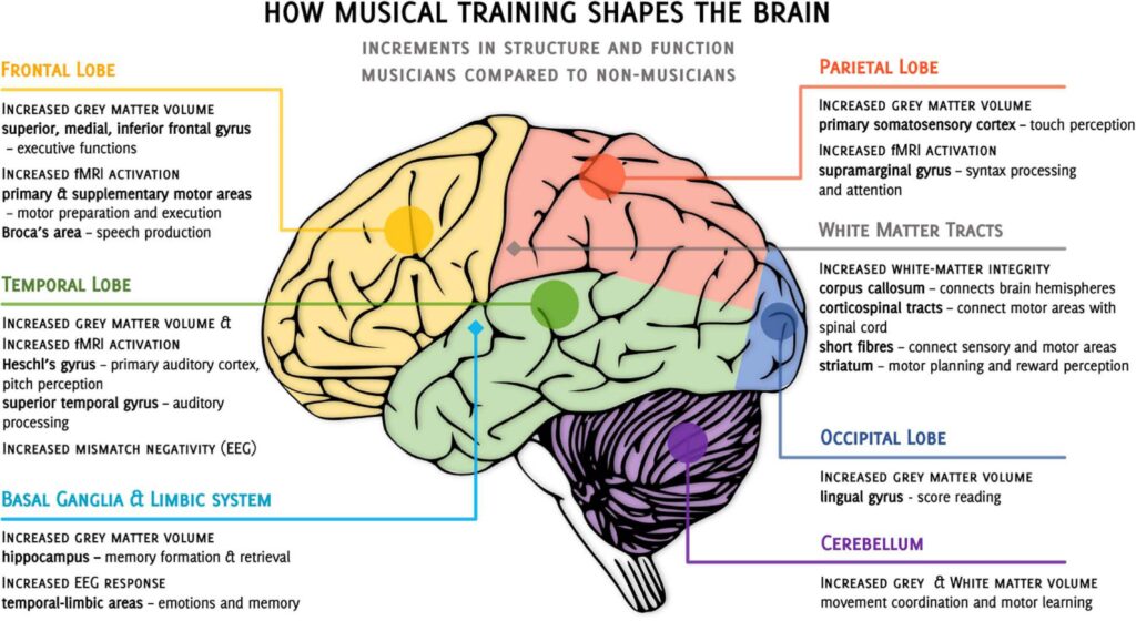 The benefits of learning an instrument - PASSAGE 3
