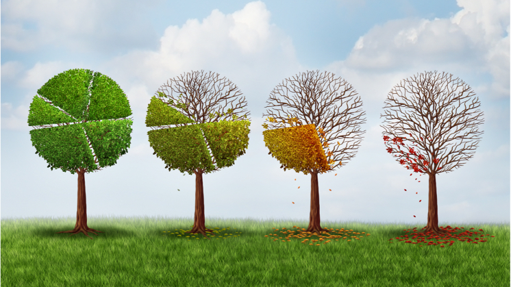 The economic effect of climate - PASSAGE 2