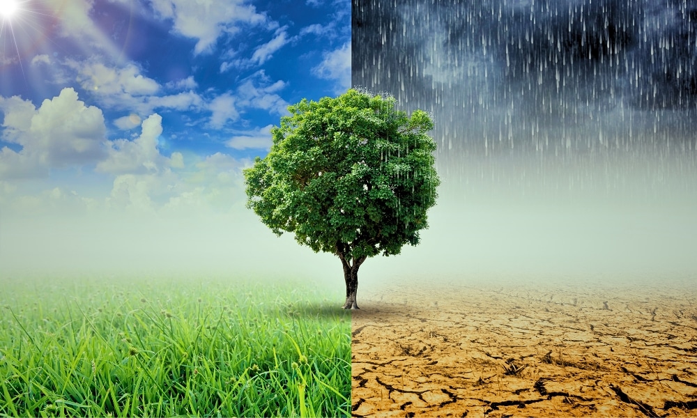 [Dự Đoán Quý 3] Topic climate change