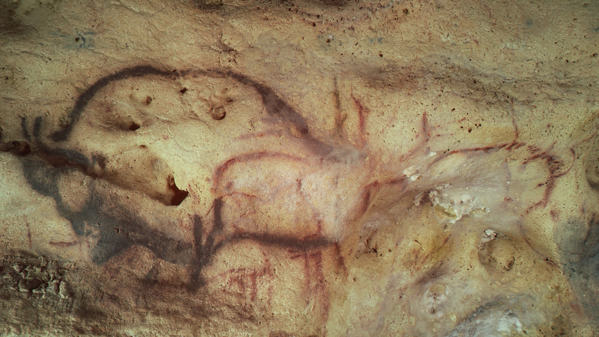 Radiocarbon dating - PASSAGE 1