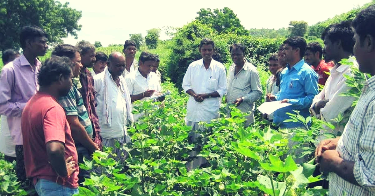 The pesticide-free village - PASSAGE 1