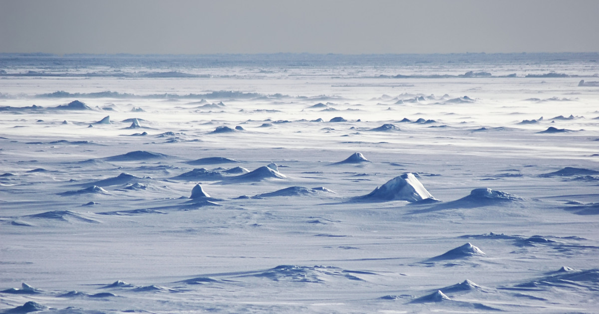 Antarctica – in from the cold - PASSAGE 2