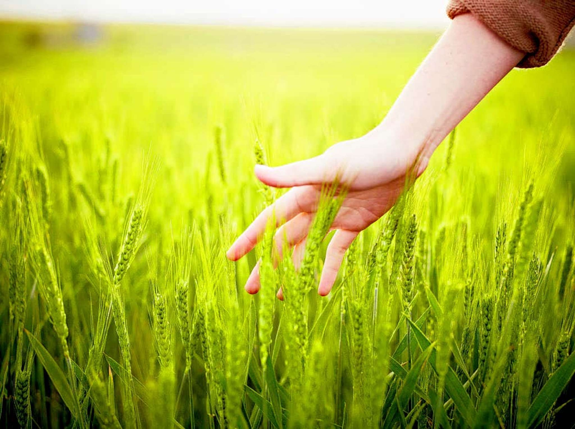 Growing more for less - PASSAGE 2