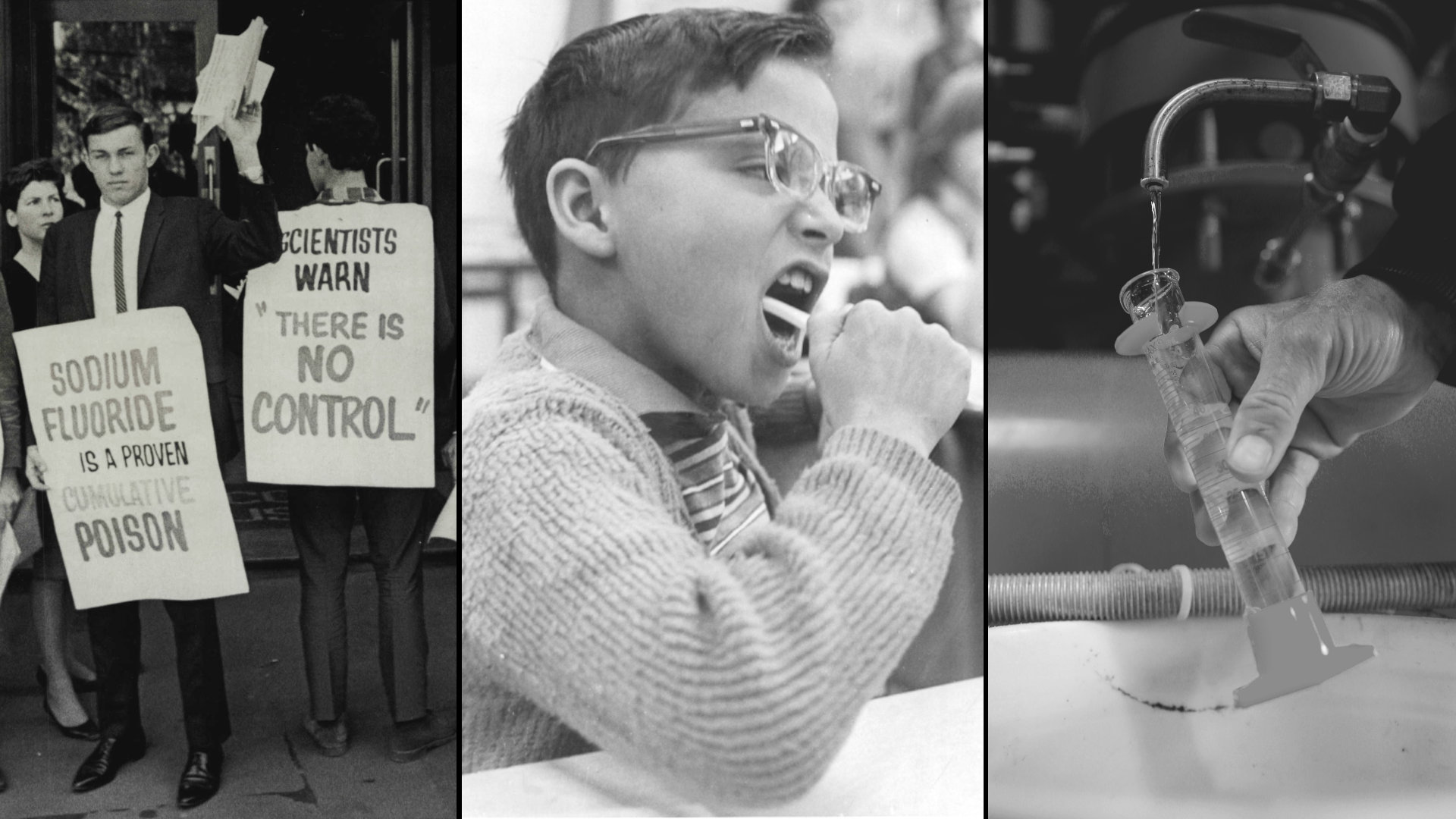The fluoridation controversy - PASSAGE 3