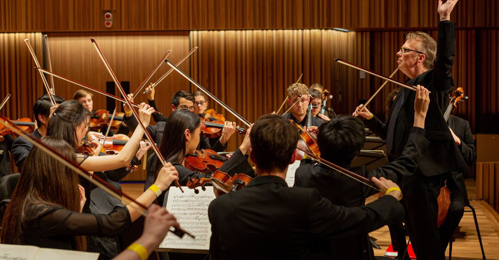 WHAT MAKES A MUSICAL EXPERT? - PASSAGE 3