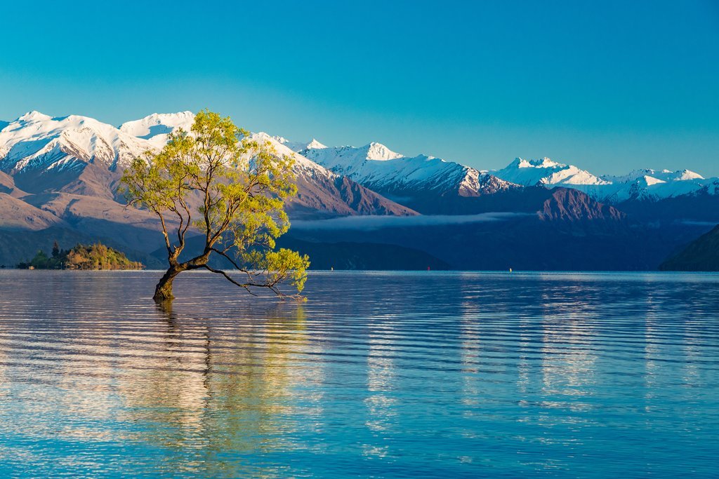 unique to New Zealand - SECTION 3