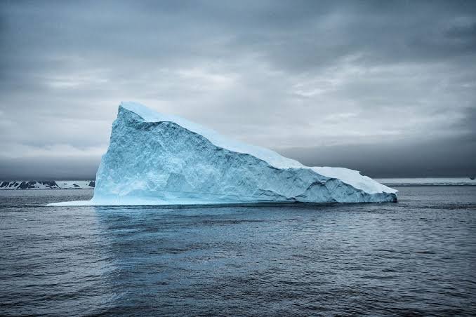 The importance of icebergs to ocean life - PASSAGE