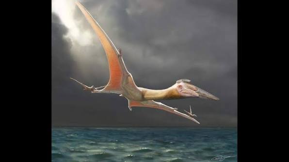 How a prehistoric predator took to the skies - PAS