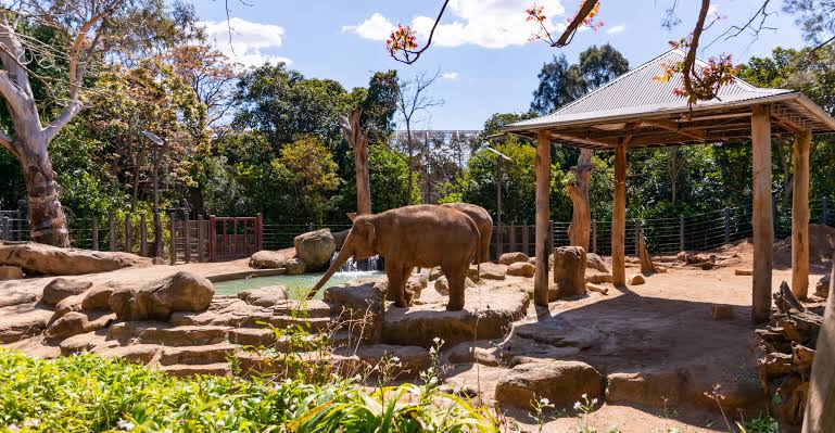 the Melbourne Zoo - SECTION 2