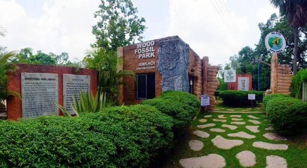 Fossil Park - SECTION 4