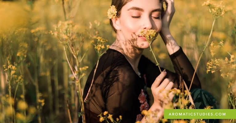 Course on the Sense of Smell - SECTION 4