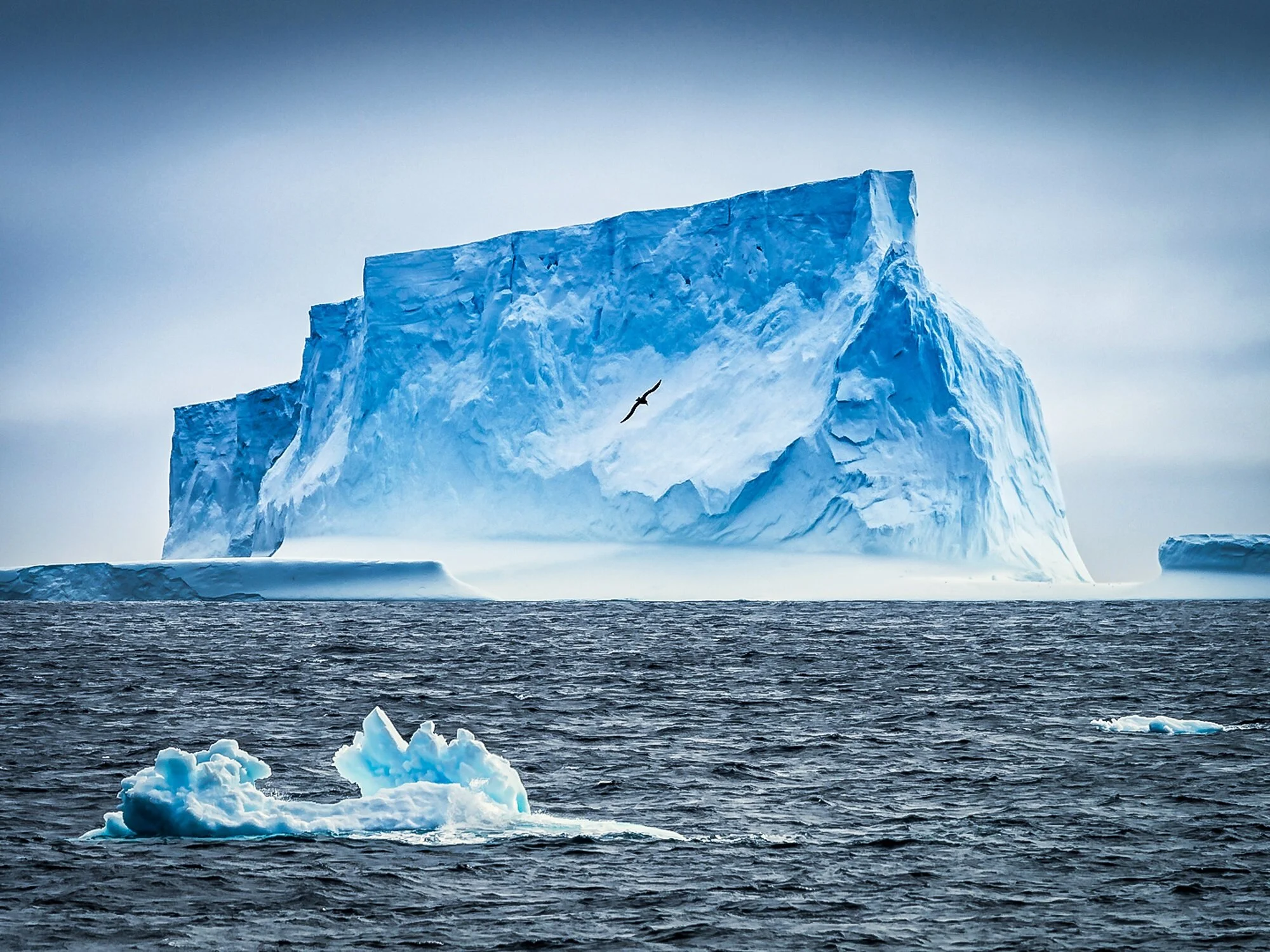 The importance of icebergs to ocean life - PASSAGE