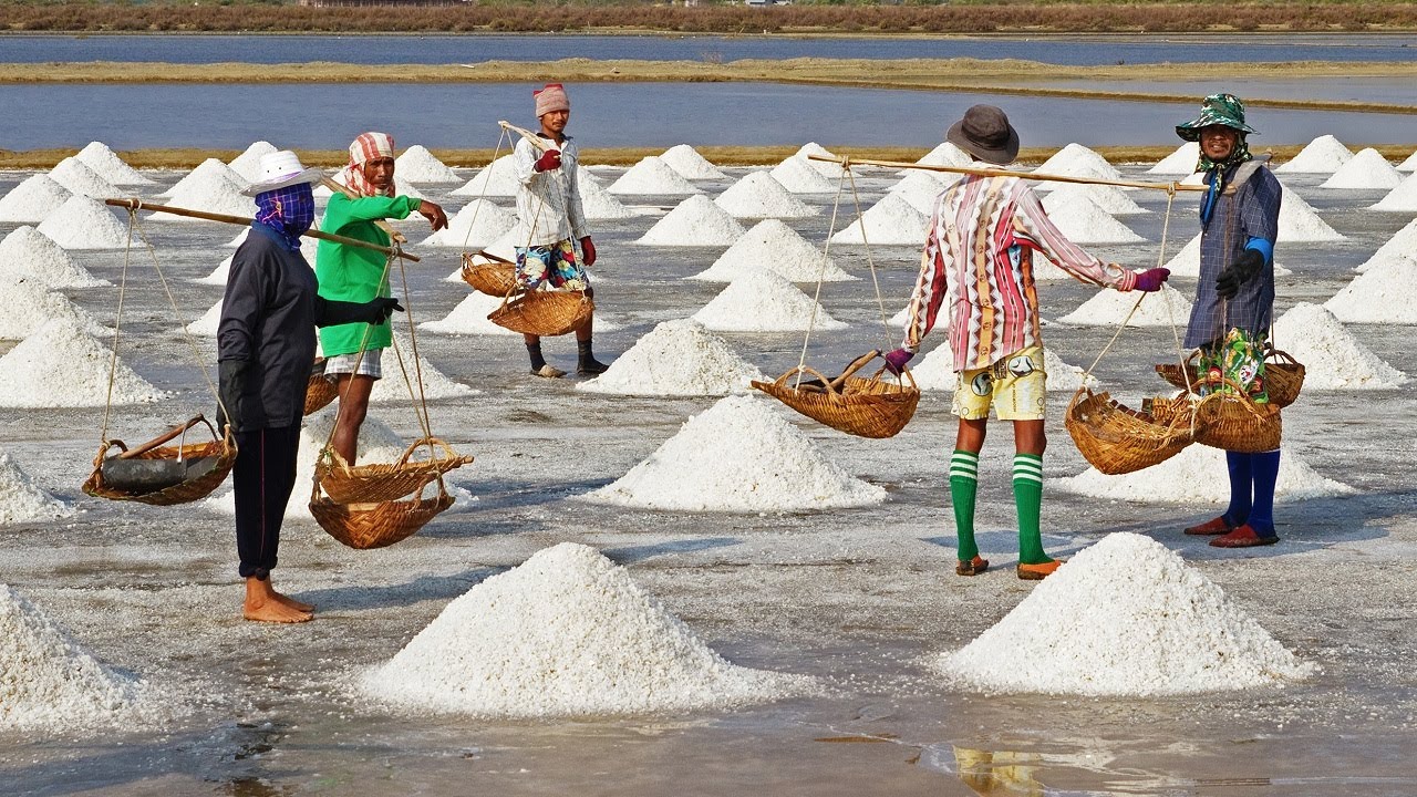The Early History of Salt - SECTION 4