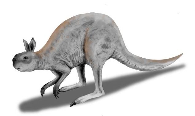 Australia's Megafauna Controversy - PASSAGE 3