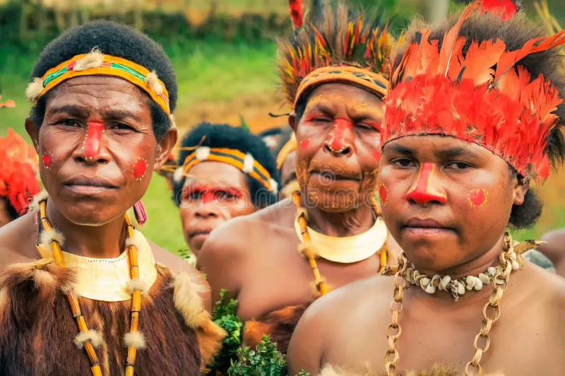 New Guinea - SECTION 1