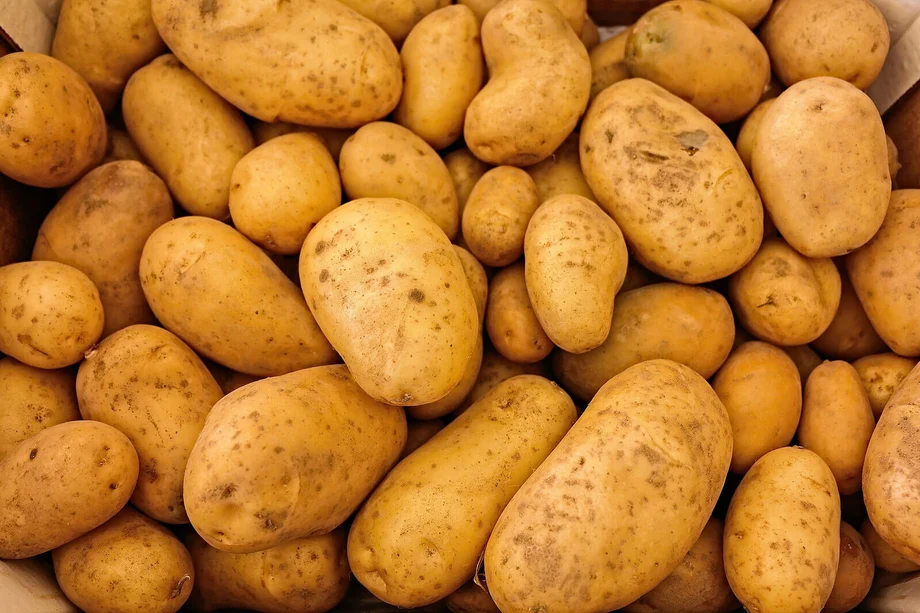 The Impact of the Potato - PASSAGE 1
