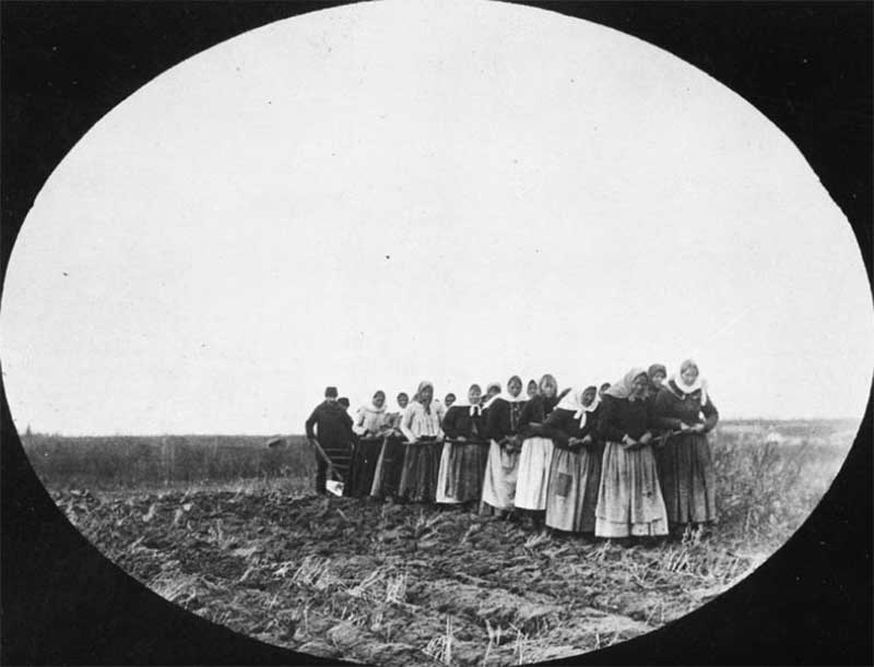 Western Immigration of Canada - PASSAGE 1
