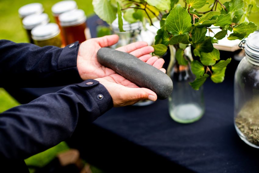 Traditional Maori Medicine - PASSAGE 1
