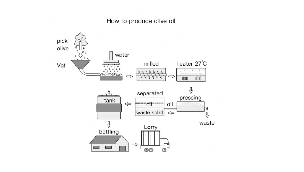 [Dự Đoán Quý 1] Topic olive oil