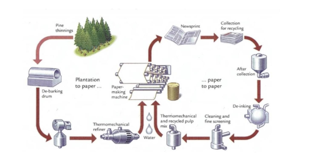 [Dự Đoán Quý 1] Topic paper produced