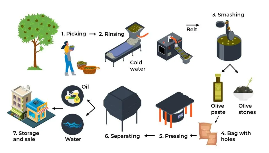 [Dự Đoán Quý 2] Topic olive oil