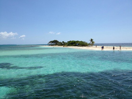 Holiday on Jackson Island - SECTION 1