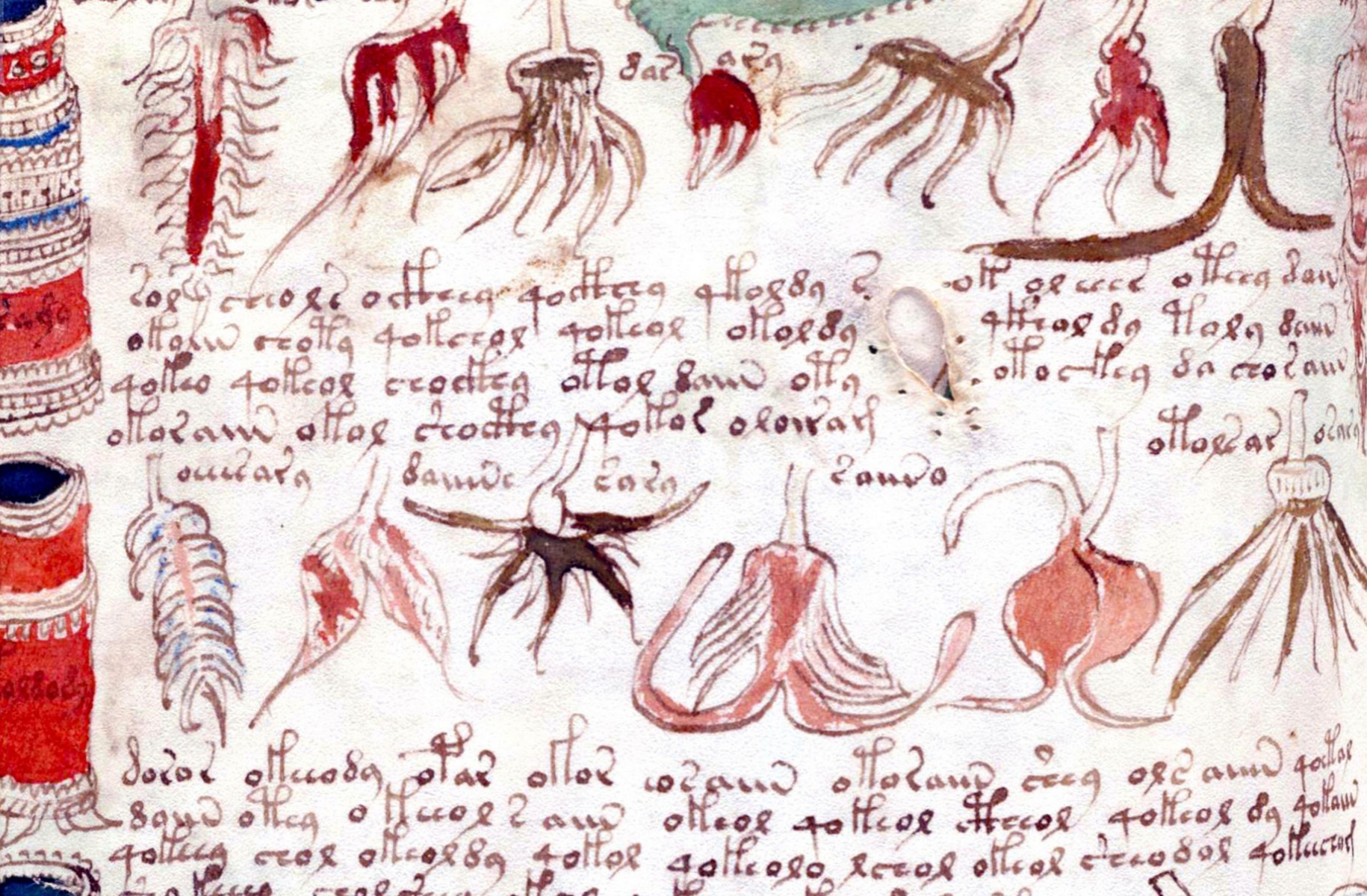THE VOYNICH MANUSCRIPT - PASSAGE 3