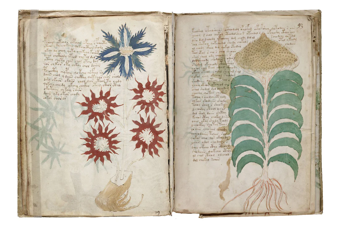The Voynich Manuscript - PASSAGE 3