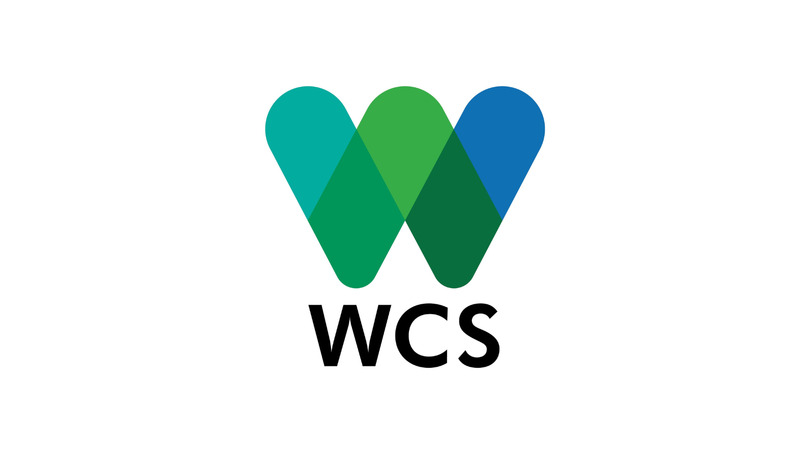 Wildlife Conservation Society - SECTION 1
