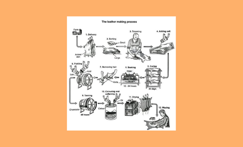 Real IELTS Writing Task 1 - Process - Topic leather making process ...