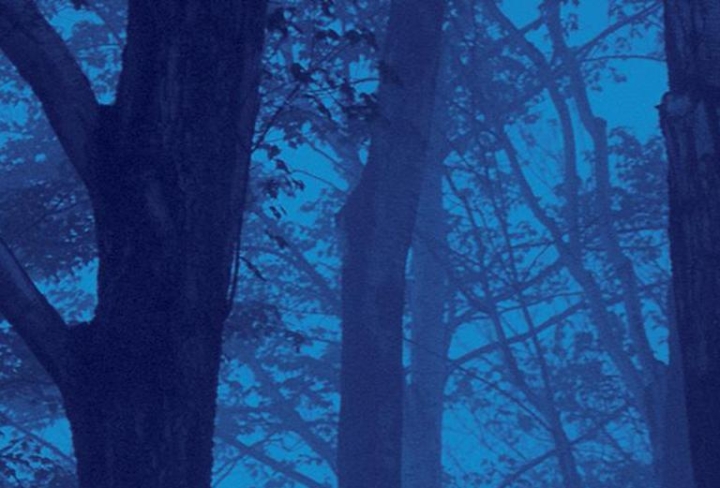 The Analysis of Fear: Đề thi thật IELTS READING (Giải thích cấu trúc khó, Đáp án Chi tiết)