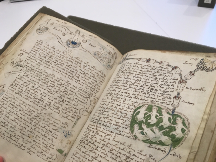 The Voynich Manuscript: Đề thi thật IELTS READING (Giải thích cấu trúc khó, Đáp án Chi tiết)