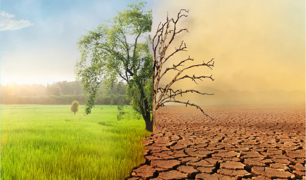 Real IELTS Writing Task 2 - Topic Climate Change band 8.5